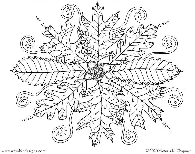Autumn Oaks Coloring Page and Educational Info Sheet