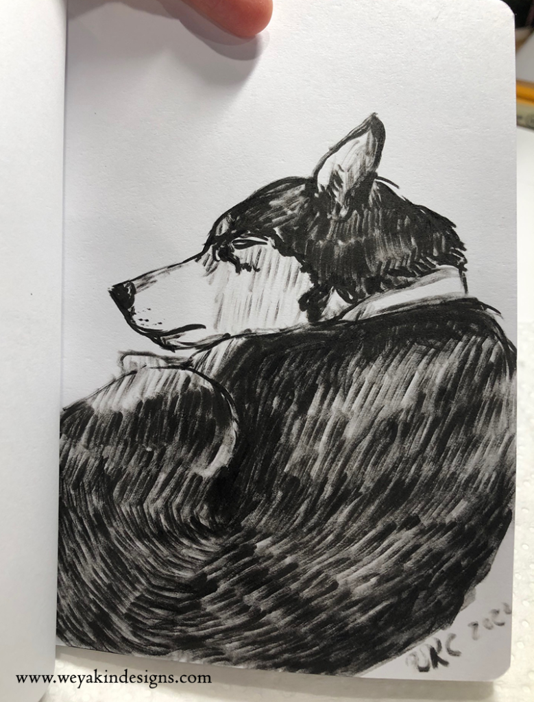 A morning sketchbook brush pen drawing of my dog, Daisy.