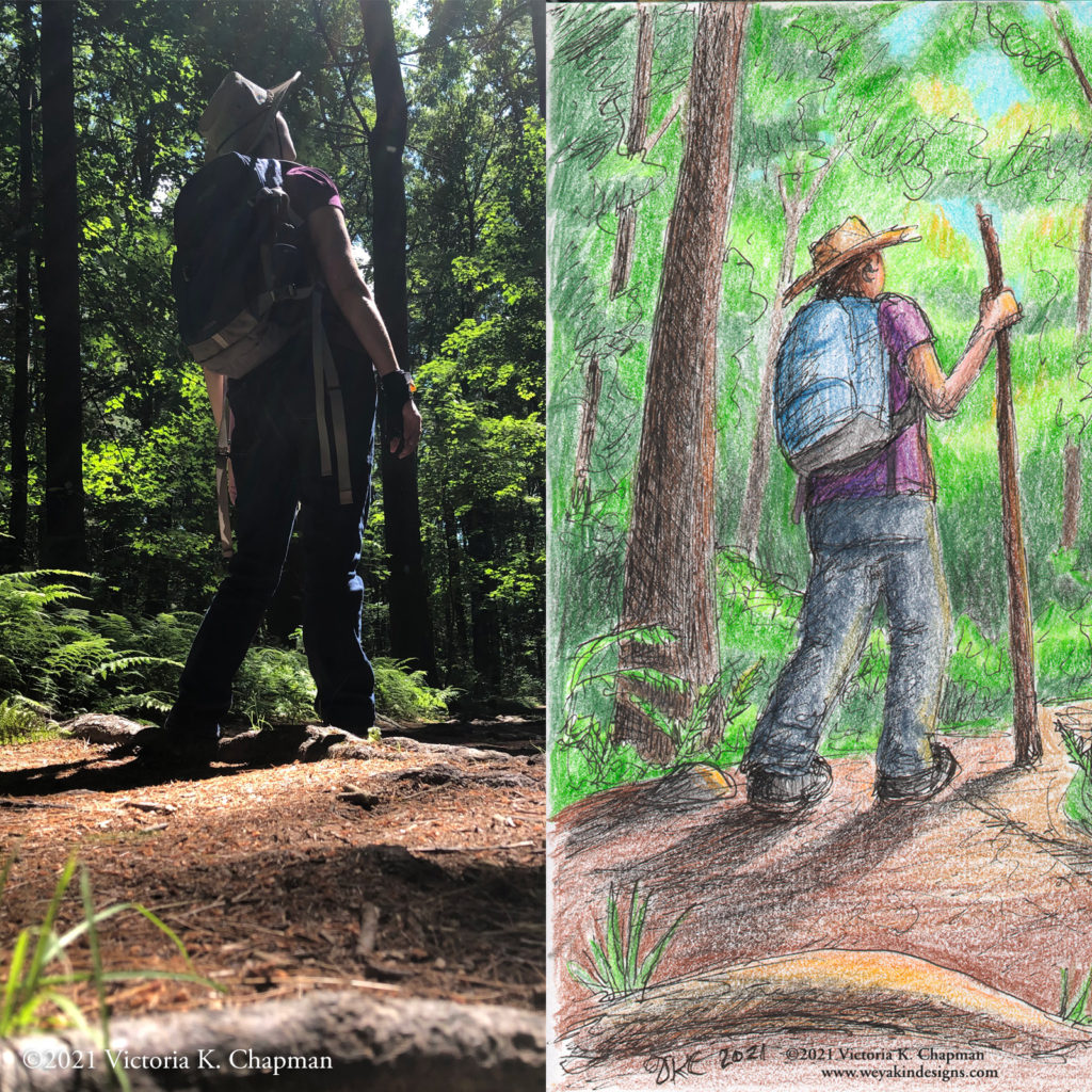 On the left, a photo from the ground of a woman standing on a forest trail. On the right, a drawing inspired by the photo by artist Victoria K. Chapman.