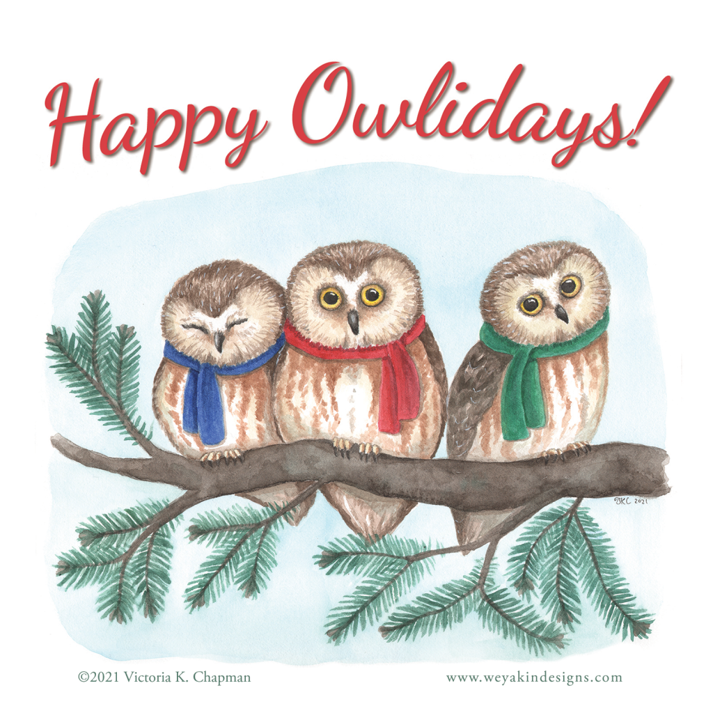 "Happy Owlidays"! Three illustrated saw-whet owls wearing winter scarves on a tree branch.