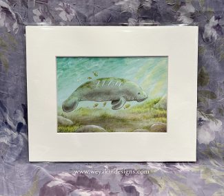 "Symbiosis" Florida Manatee Watercolor Illustration 5x7" Signed Matted Digital Art Print