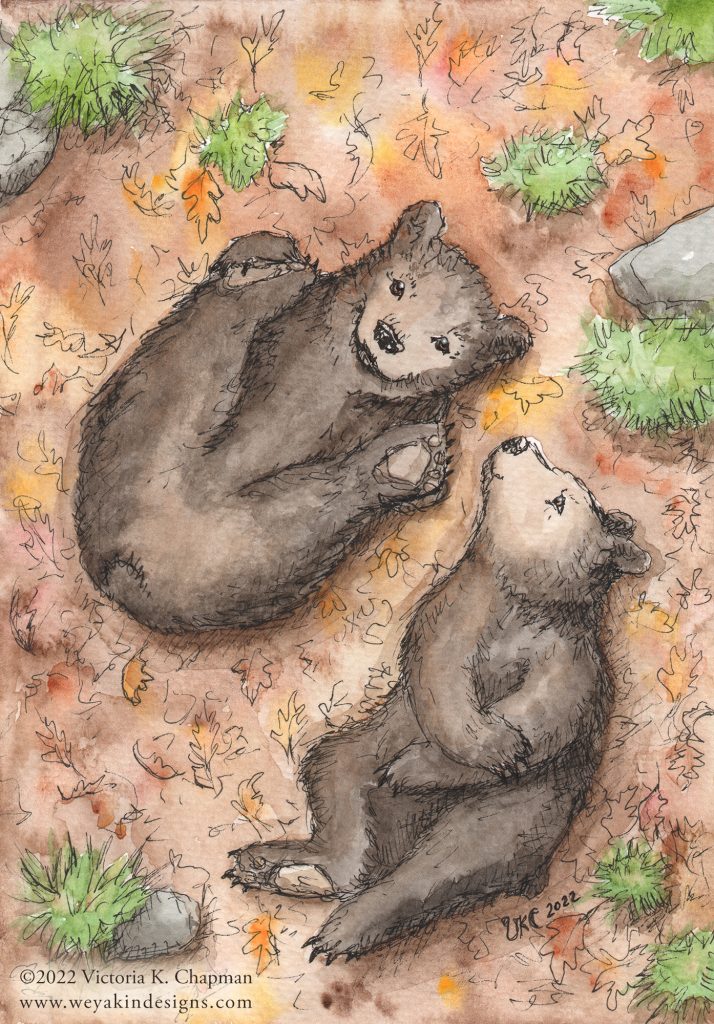 "Bear Cubbing Around" Black Bear Cubs Watercolor and Pen Illustration 5x7" Signed Matted Digital Art Print