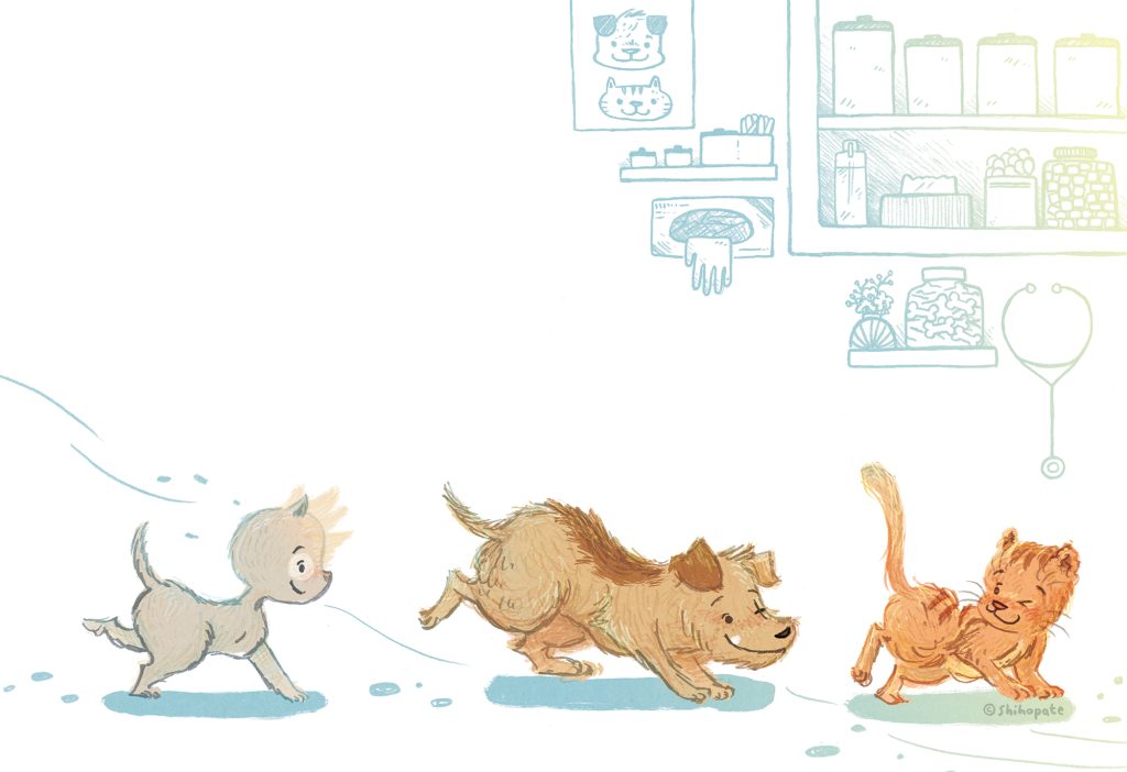 An interior illustration from THE RESCUES BEST DAY EVER. Two dogs and a cat walk across a white page with some items from a vet office in the background.